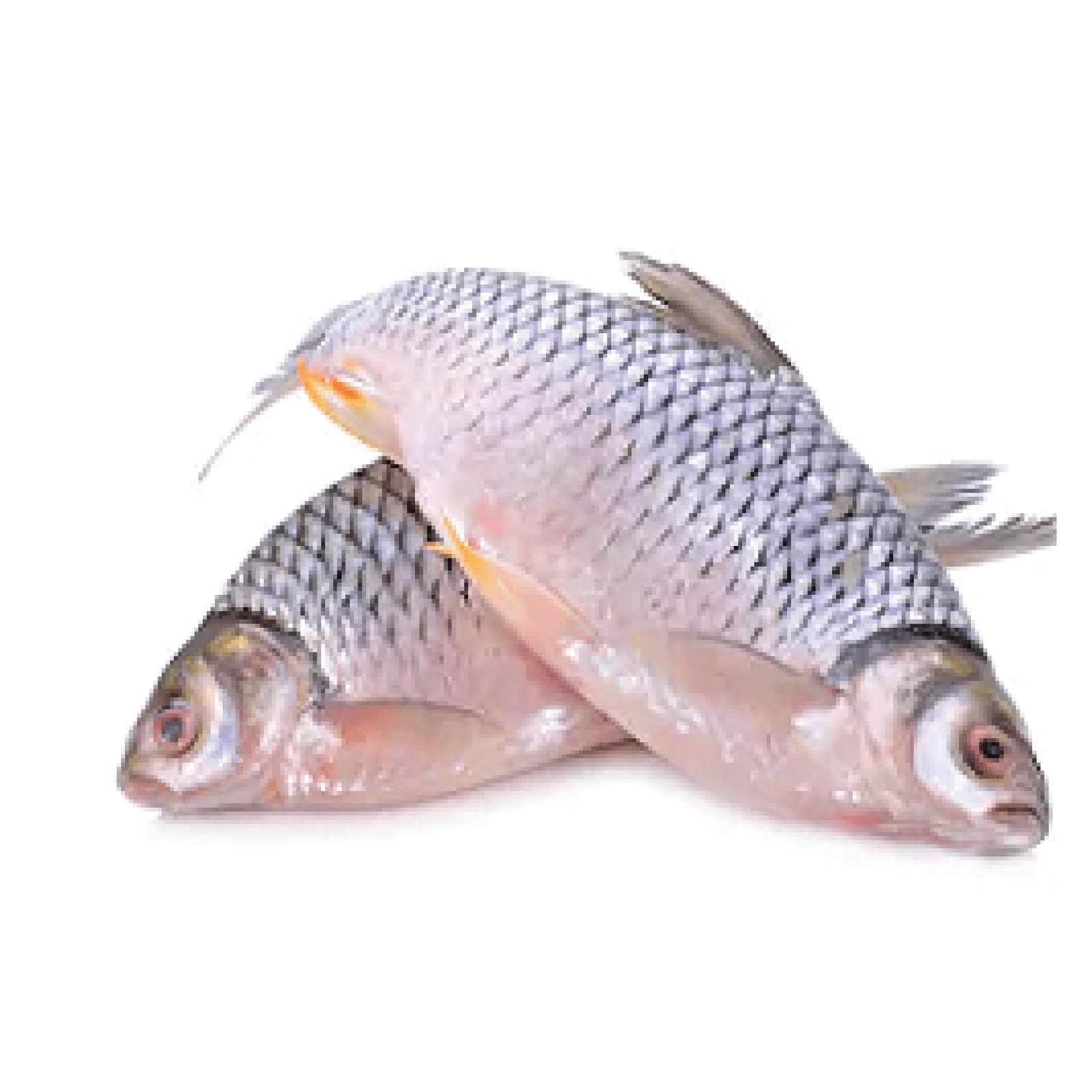 Placeholder image of specialized pharmaceutical storage